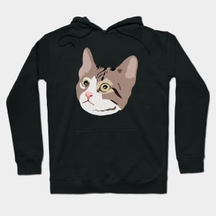 Cat Hoodie